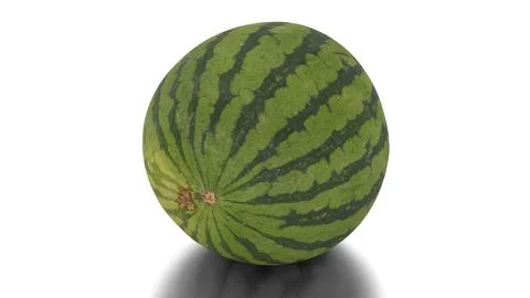 Watermelon on a white background Stock Illustration