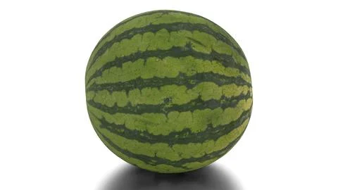 Watermelon on a white background Stock Illustration
