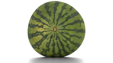 Watermelon on a white background Stock Illustration