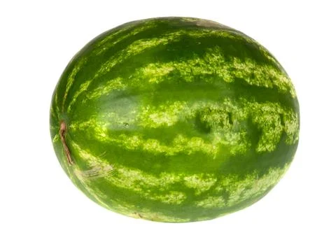 Watermelon on white background Stock Photos
