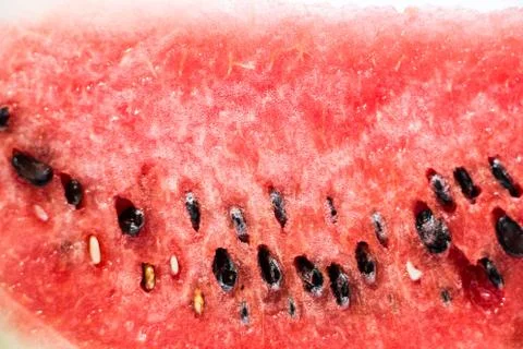 Watermelon on white background Stock Photos