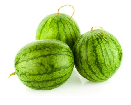 Watermelon on white background Stock Photos
