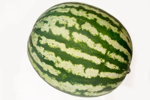 Watermelon on a white background Stock Photos