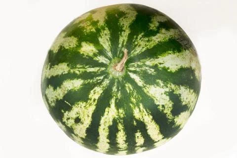 Watermelon on a white background Stock Photos