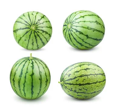 Watermelon on white background Stock Photos