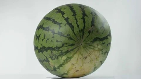 Watermelon at the white background rounding Stock Footage 71880790
