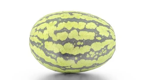 Watermelon0017 Stock Illustration