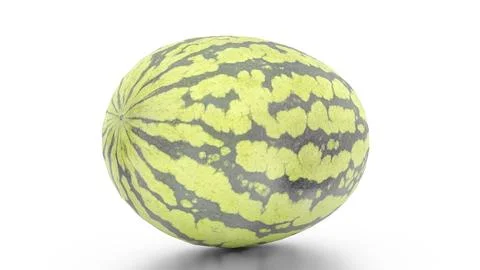 Watermelon0050 Stock Illustration