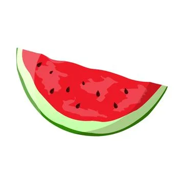 Watermelon.Red watermelon vector illustration in flat cartoon style. Summer food Stock Illustration