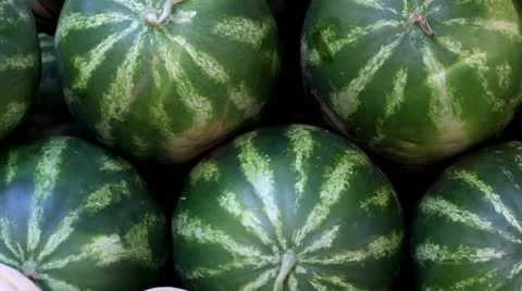 Watermelons and melons Stock Footage 12204093