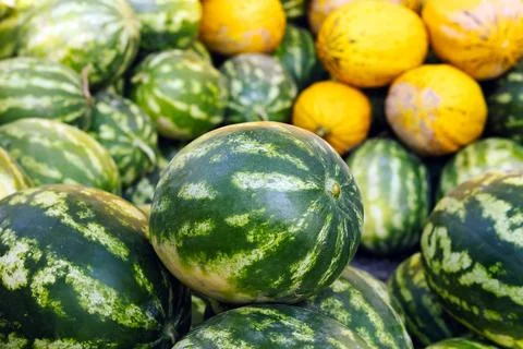Watermelons and Melons Stock Photos