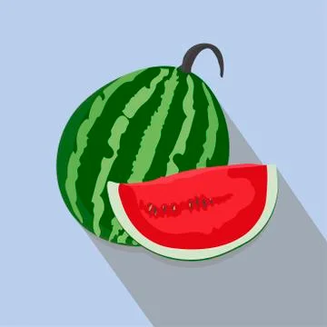 Watermelons and slices isolated, vector illustration. Stock Illustration