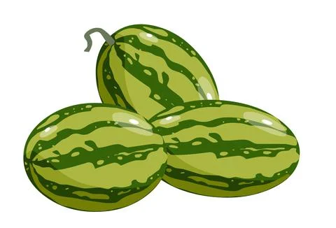 Watermelons Stock Illustration