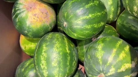 Watermelons in large box Stock Footage 280081171