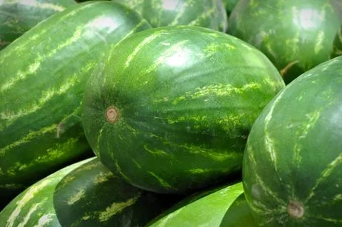 Watermelons Stock Photos