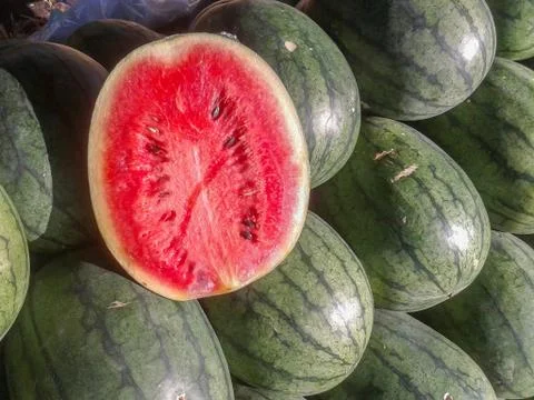 Watermelons Stock Photos
