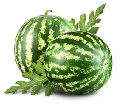 Watermelons Stock Photos