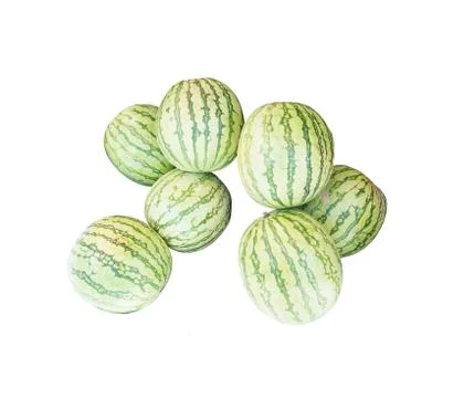 Watermelons Stock Photos