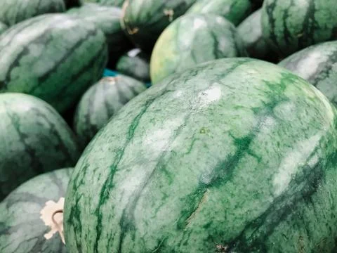 Watermelons Stock Photos