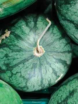Watermelons Stock Photos