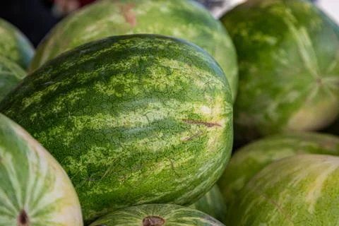 Watermelons Foto stock