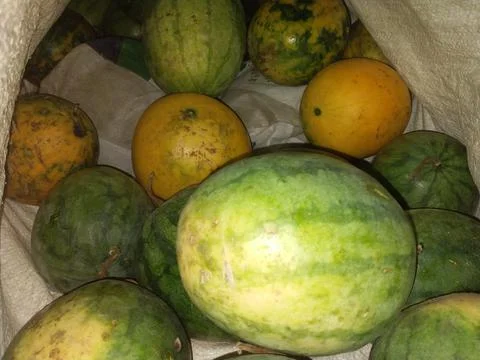 Watermelons Stock Photos