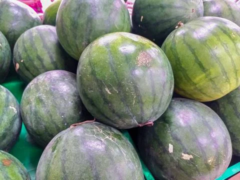Watermelons in a rack Fotos de archivo
