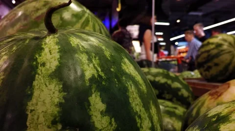Watermelons on the shelf Stock Footage 67472834