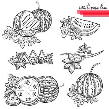 Watermelons sketches, design elements for cards, invitations, scrapbook, print Illustrazione stock