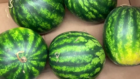 Watermelons in top view Stock Footage 278007561