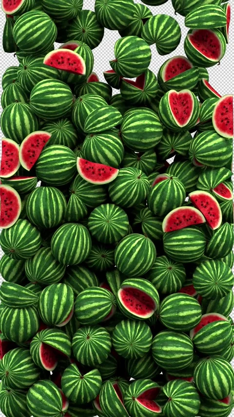 Watermelons transition – 3d render with alpha channel. Stock Footage 276435122