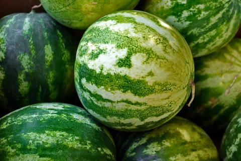 Watermelons wallpaper. 写真素材