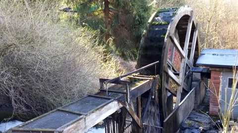 Watermill on creek  in a forest Stock Footage 49068208