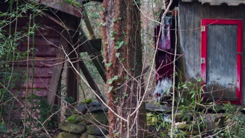 Watermill in Green Nature Stock Footage 301609216