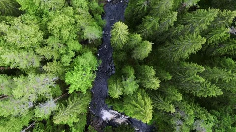 Watermill on a river in the forest Stock Footage 263036974