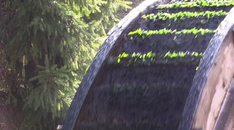 Watermill in sunshine  in  forest Stock Footage 36584433