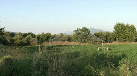 Waterpipe 01 스톡 동영상 81868