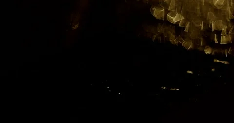 Waterproof Smartphone Under the Rain at Night Stock Footage 64335950