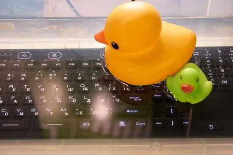 Waterproof underwater keyboard. Stock Photos