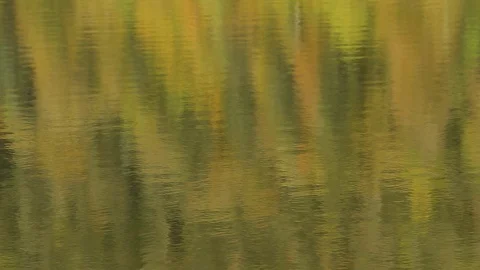 WaterReflectionsFallsDMathieu20181003 Stock Footage 96745504