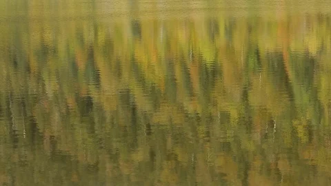 WaterReflectionsFallsDMathieu20181004 動画素材 96745506