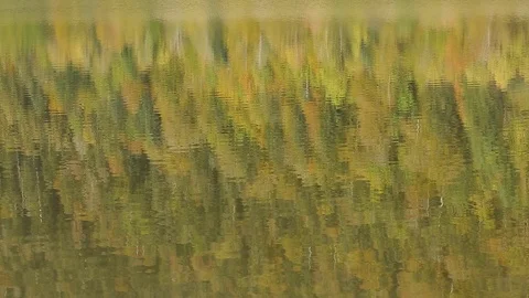 WaterReflectionsFallsDMathieu20181005 動画素材 96745681