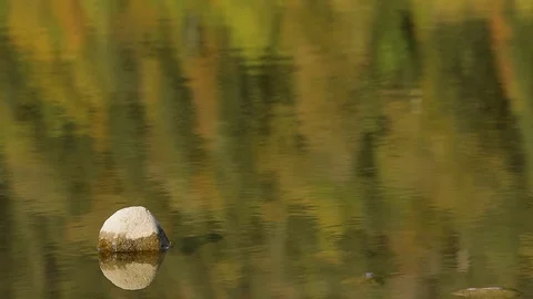 WaterReflectionsFallsDMathieu20181007 動画素材 96745816