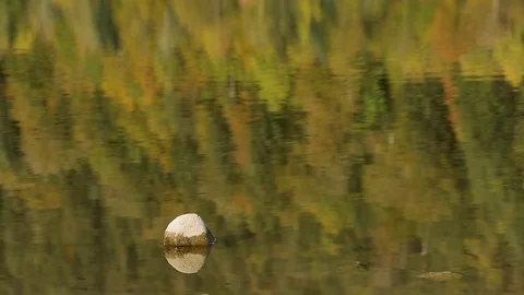WaterReflectionsFallsDMathieu20181008 動画素材 96745858