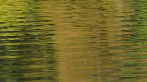 WaterReflectionsFallsDMathieu20181010 動画素材 96746024