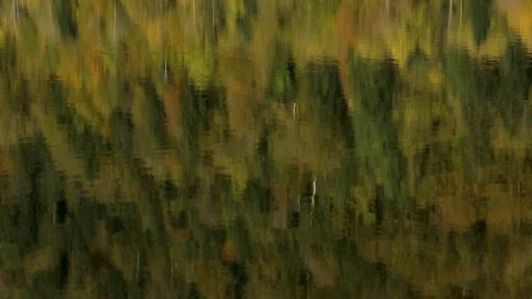 WaterReflectionsFallsDMathieu20181013 動画素材 96746382