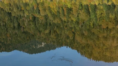 WaterReflectionsFallsDMathieu20181015 動画素材 96746600