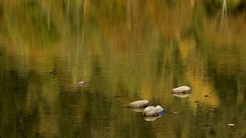 WaterReflectionsFallsDMathieu20181016 動画素材 96746595