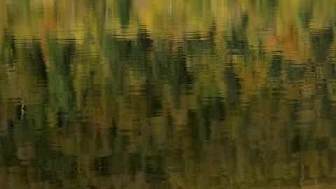 WaterReflectionsFallsDMathieu20181022 動画素材 96747369