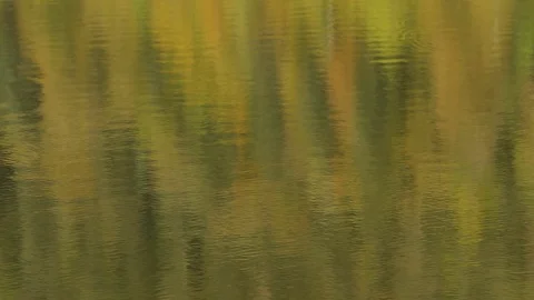 WaterReflectionsFallsDMathieu20181024 動画素材 96747602